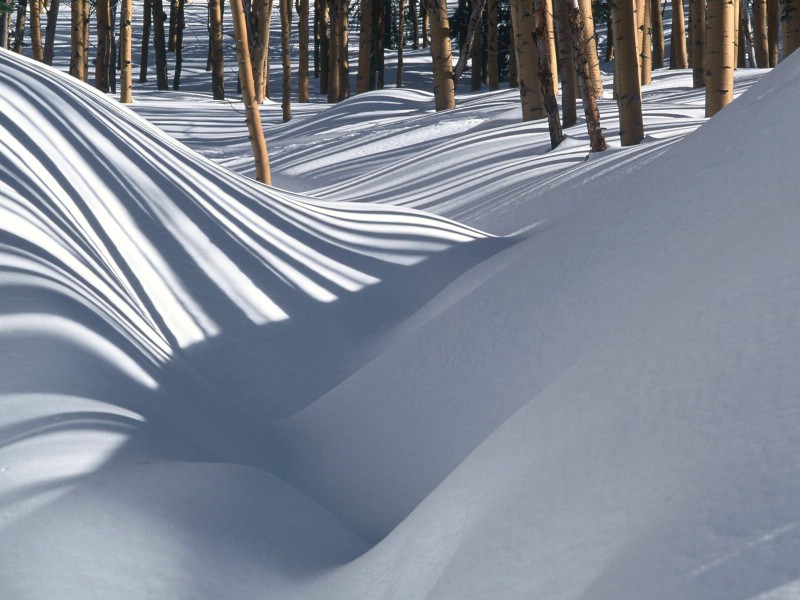 壁纸800x600感受冬天 冰天雪地壁纸壁纸 感受冬天！冰天雪地壁纸壁纸 感受冬天！冰天雪地壁纸图片 感受冬天！冰天雪地壁纸素材 风景壁纸 风景图库 风景图片素材桌面壁纸