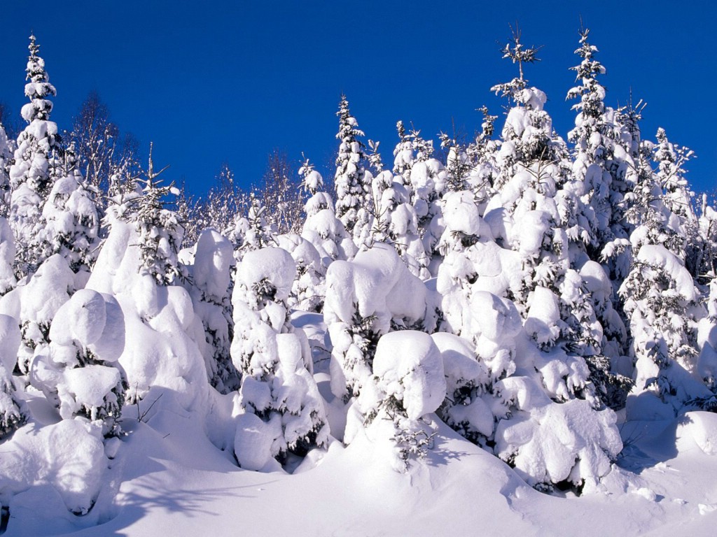 壁纸1024x768感受冬天 冰天雪地壁纸壁纸 感受冬天！冰天雪地壁纸壁纸 感受冬天！冰天雪地壁纸图片 感受冬天！冰天雪地壁纸素材 风景壁纸 风景图库 风景图片素材桌面壁纸