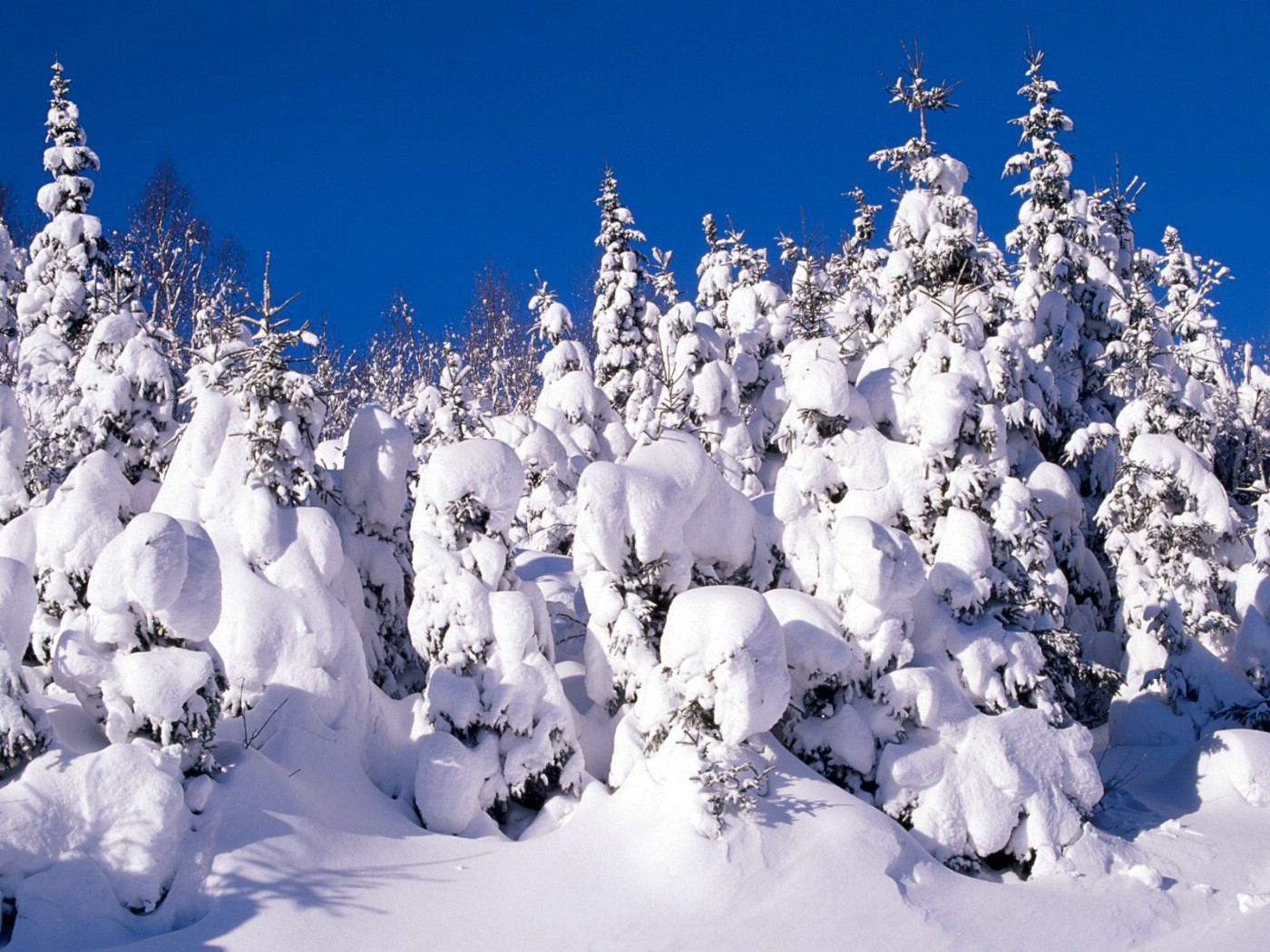 壁纸1400x1050感受冬天 冰天雪地壁纸壁纸 感受冬天！冰天雪地壁纸壁纸 感受冬天！冰天雪地壁纸图片 感受冬天！冰天雪地壁纸素材 风景壁纸 风景图库 风景图片素材桌面壁纸