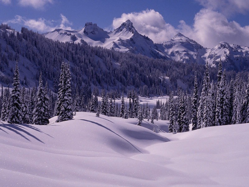 壁纸800x600感受冬天 冰天雪地壁纸壁纸 感受冬天！冰天雪地壁纸壁纸 感受冬天！冰天雪地壁纸图片 感受冬天！冰天雪地壁纸素材 风景壁纸 风景图库 风景图片素材桌面壁纸