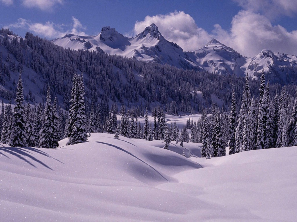 壁纸1024x768感受冬天 冰天雪地壁纸壁纸 感受冬天！冰天雪地壁纸壁纸 感受冬天！冰天雪地壁纸图片 感受冬天！冰天雪地壁纸素材 风景壁纸 风景图库 风景图片素材桌面壁纸