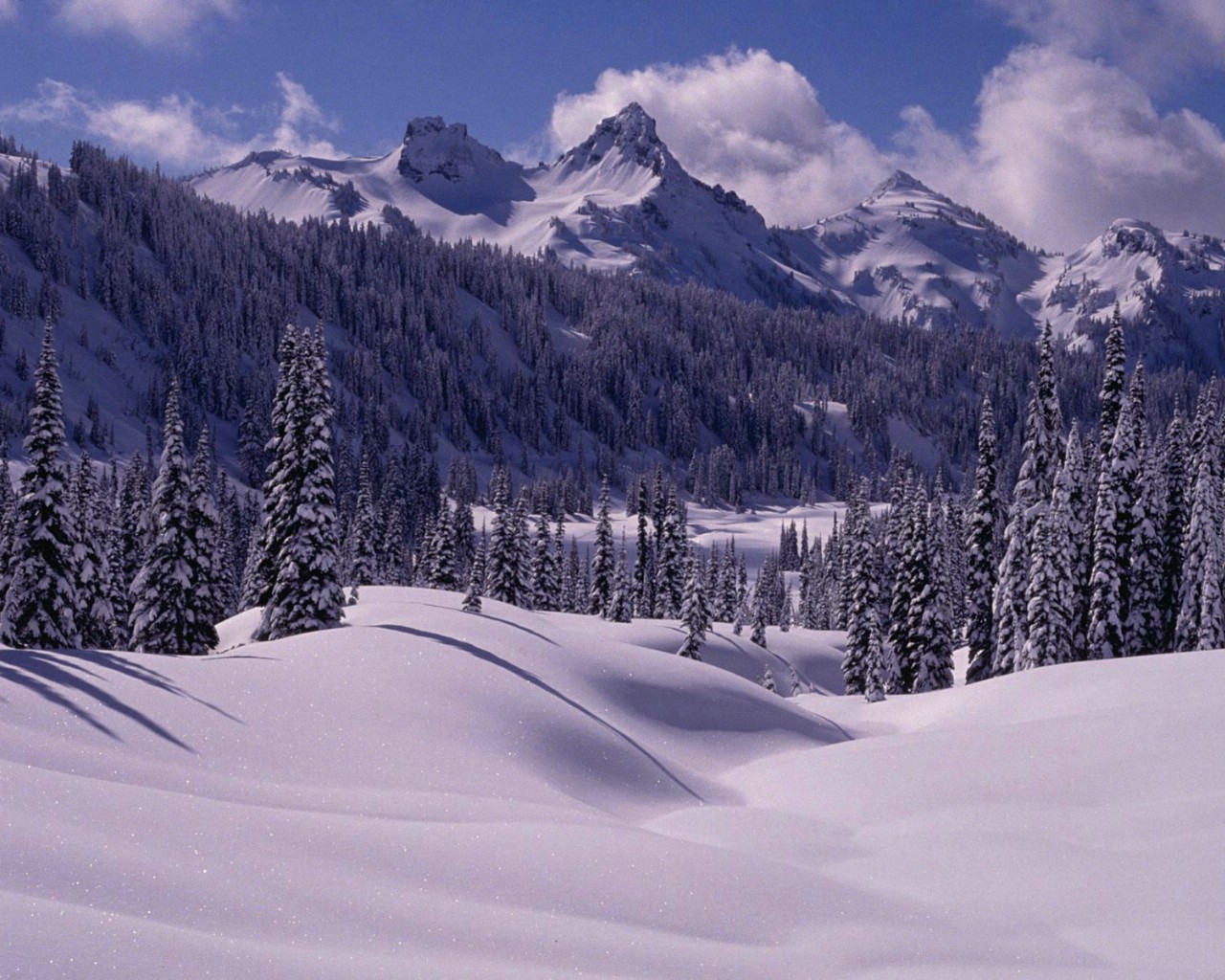 壁纸1280x1024感受冬天 冰天雪地壁纸壁纸 感受冬天！冰天雪地壁纸壁纸 感受冬天！冰天雪地壁纸图片 感受冬天！冰天雪地壁纸素材 风景壁纸 风景图库 风景图片素材桌面壁纸