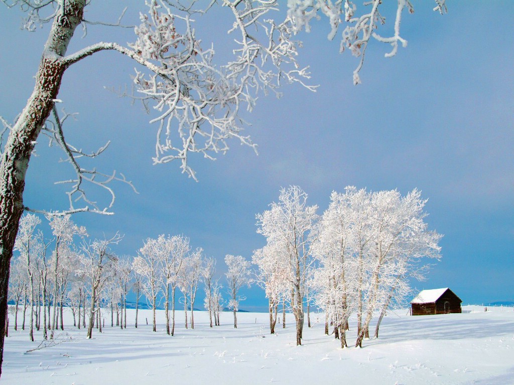 壁纸1024x768感受冬天 冰天雪地壁纸壁纸 感受冬天！冰天雪地壁纸壁纸 感受冬天！冰天雪地壁纸图片 感受冬天！冰天雪地壁纸素材 风景壁纸 风景图库 风景图片素材桌面壁纸