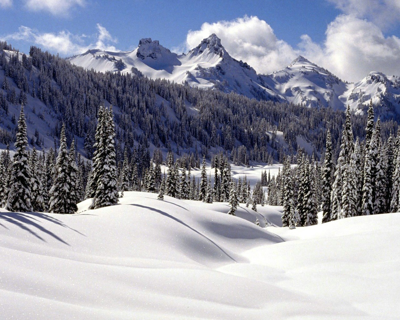 壁纸1280x1024感受冬天 冰天雪地壁纸壁纸 感受冬天！冰天雪地壁纸壁纸 感受冬天！冰天雪地壁纸图片 感受冬天！冰天雪地壁纸素材 风景壁纸 风景图库 风景图片素材桌面壁纸