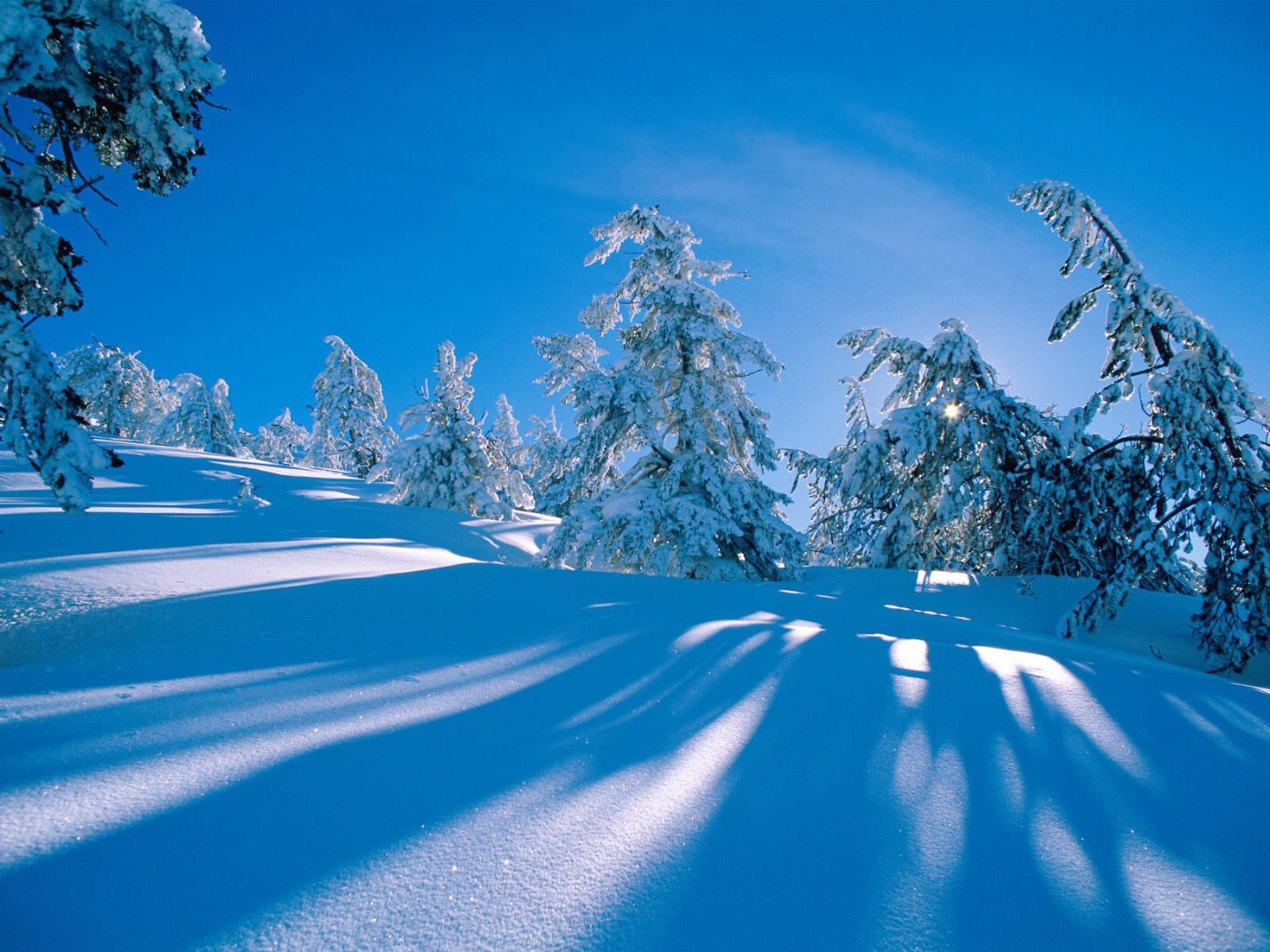 壁纸1400x1050感受冬天 冰天雪地壁纸壁纸 感受冬天！冰天雪地壁纸壁纸 感受冬天！冰天雪地壁纸图片 感受冬天！冰天雪地壁纸素材 风景壁纸 风景图库 风景图片素材桌面壁纸