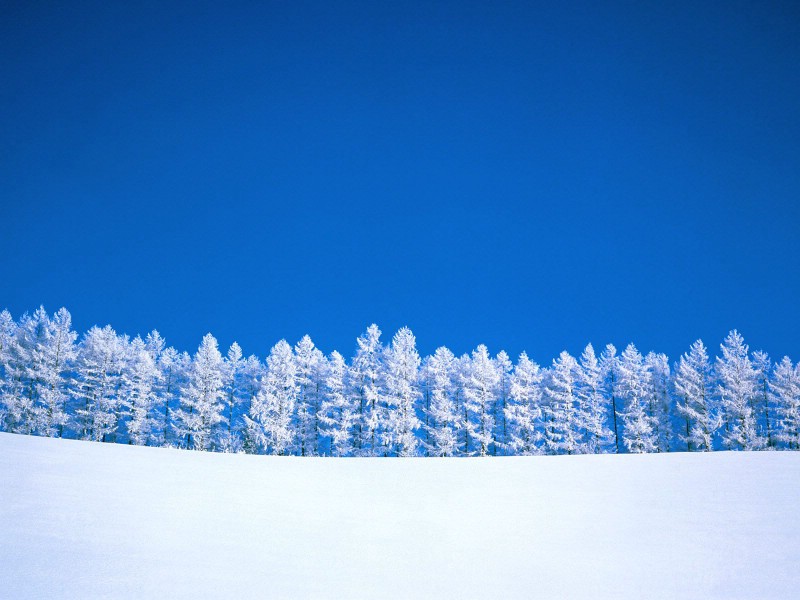 壁纸800x600感受冬天 冰天雪地壁纸壁纸 感受冬天！冰天雪地壁纸壁纸 感受冬天！冰天雪地壁纸图片 感受冬天！冰天雪地壁纸素材 风景壁纸 风景图库 风景图片素材桌面壁纸