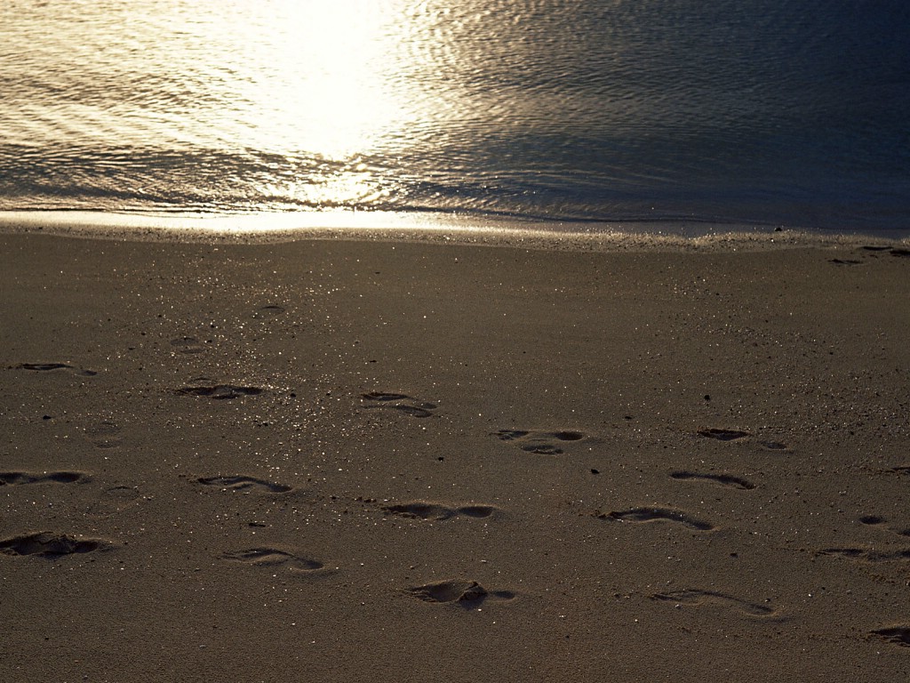 壁纸1024x768海滨风光壁纸 海滨风光壁纸 海滨风光图片 海滨风光素材 风景壁纸 风景图库 风景图片素材桌面壁纸