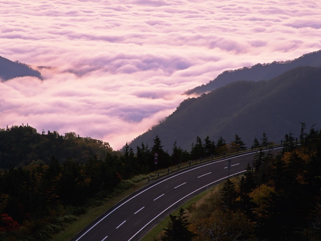 壁纸1024x768人生必经 道路写真壁纸壁纸 人生必经！道路写真壁纸壁纸 人生必经！道路写真壁纸图片 人生必经！道路写真壁纸素材 风景壁纸 风景图库 风景图片素材桌面壁纸