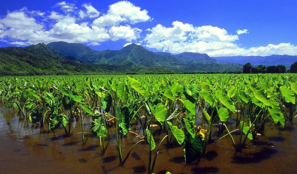 壁纸1024x600山水如画壁纸壁纸 山水如画壁纸壁纸 山水如画壁纸图片 山水如画壁纸素材 风景壁纸 风景图库 风景图片素材桌面壁纸