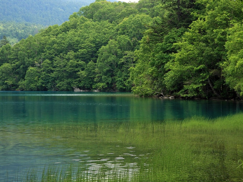 壁纸1024x768夏日北海道 北海道郊外风景壁纸 夏日北海道-北海道郊外风景壁纸 夏日北海道-北海道郊外风景图片 夏日北海道-北海道郊外风景素材 风景壁纸 风景图库 风景图片素材桌面壁纸