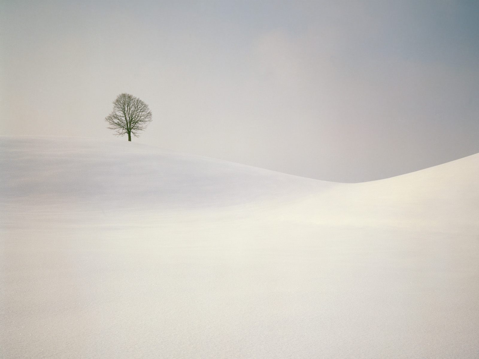 壁纸1600x1200雪景图片 美丽冬天雪景壁纸壁纸 雪景图片 - 美丽冬天雪景壁纸壁纸 雪景图片 - 美丽冬天雪景壁纸图片 雪景图片 - 美丽冬天雪景壁纸素材 风景壁纸 风景图库 风景图片素材桌面壁纸