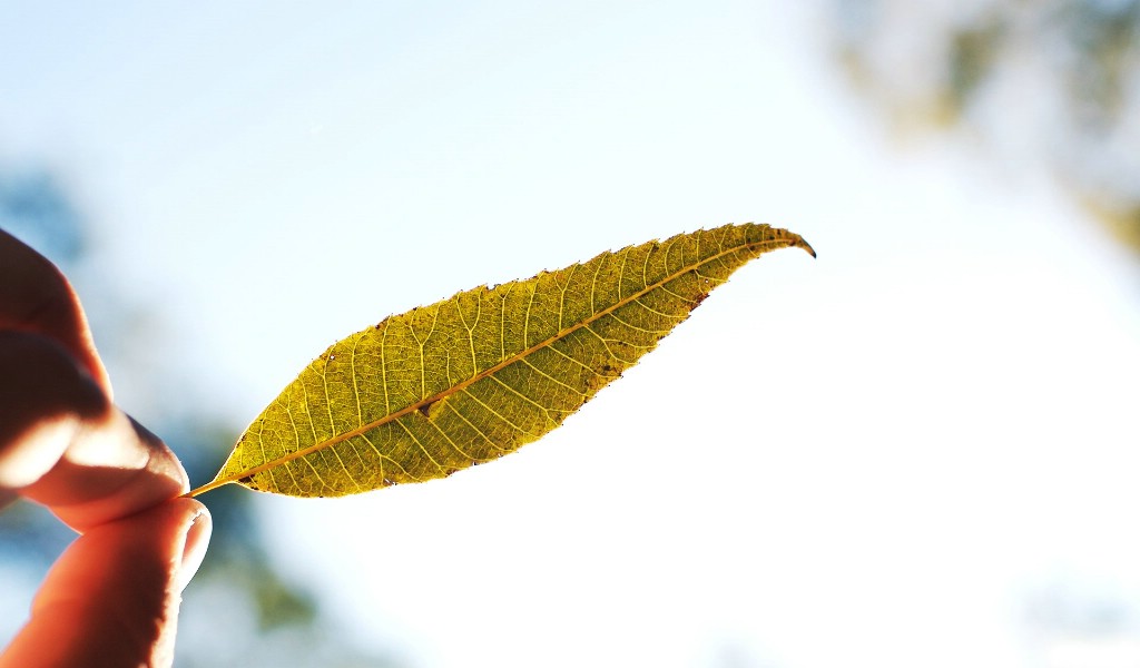 壁纸1024x600自然随拍暗调风景壁纸壁纸 自然随拍暗调风景壁纸壁纸 自然随拍暗调风景壁纸图片 自然随拍暗调风景壁纸素材 风景壁纸 风景图库 风景图片素材桌面壁纸