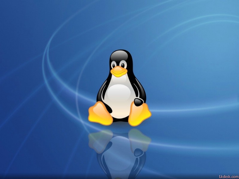 壁纸800x600Linux系统小企鹅壁纸壁纸 Linux系统小企鹅壁纸壁纸 Linux系统小企鹅壁纸图片 Linux系统小企鹅壁纸素材 其他壁纸 其他图库 其他图片素材桌面壁纸